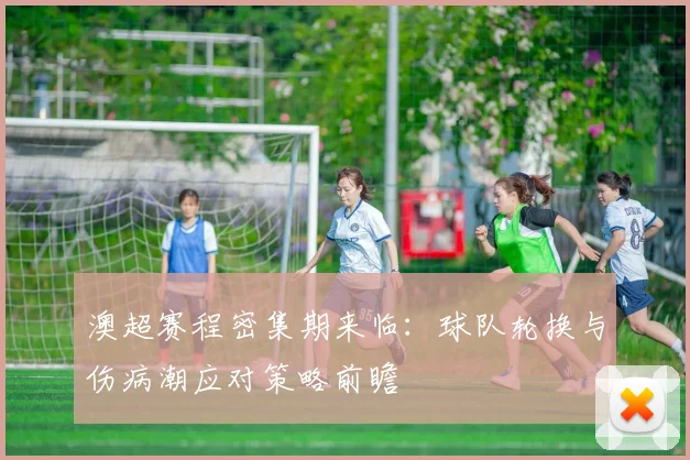澳超赛程密集期来临：球队轮换与伤病潮应对策略前瞻