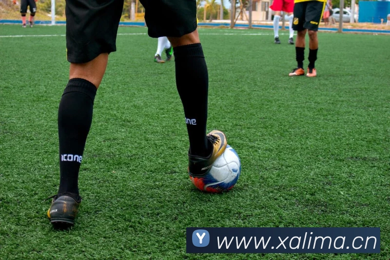 乐竞体育首页APP 封面图